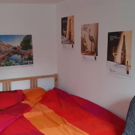 Gite De Benedicte Ancienne Douane Colmar Eksteriør bilde