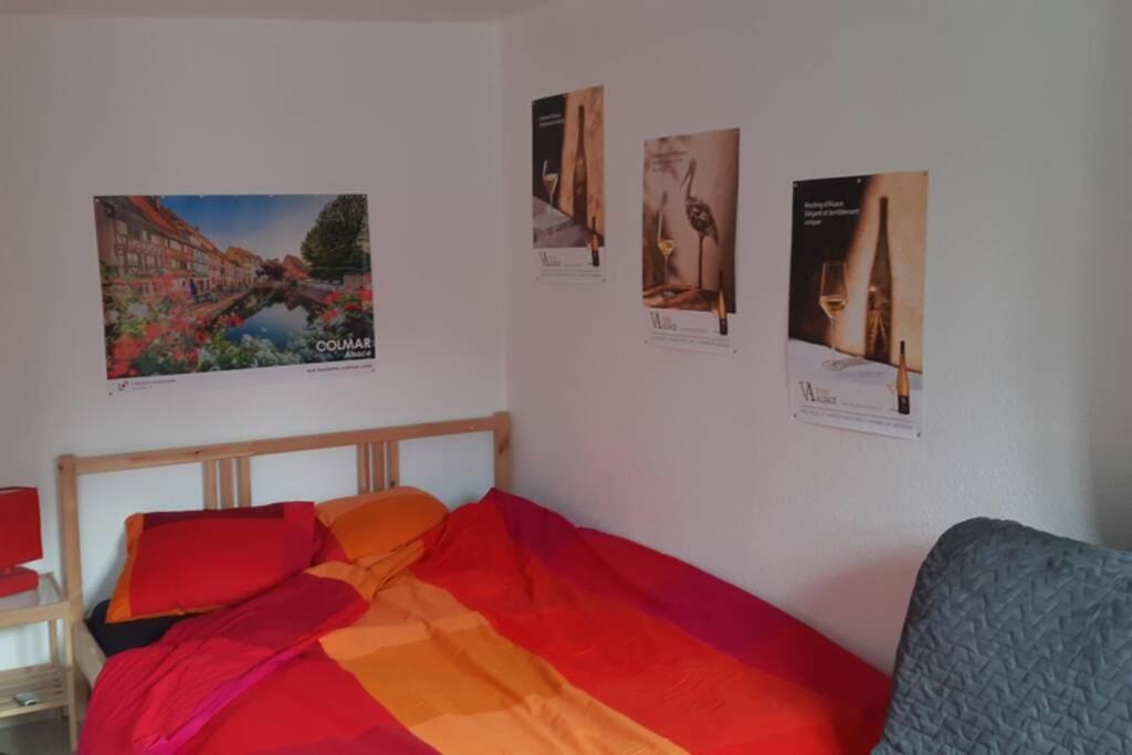 Gite De Benedicte Ancienne Douane Colmar Eksteriør bilde