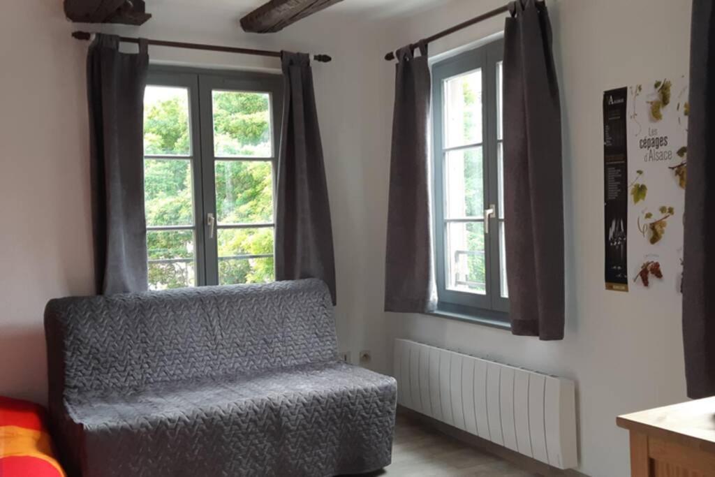 Gite De Benedicte Ancienne Douane Colmar Eksteriør bilde